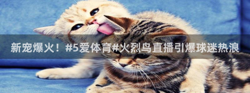 新宠爆火！#5爱体育#火烈鸟直播引爆球迷热浪