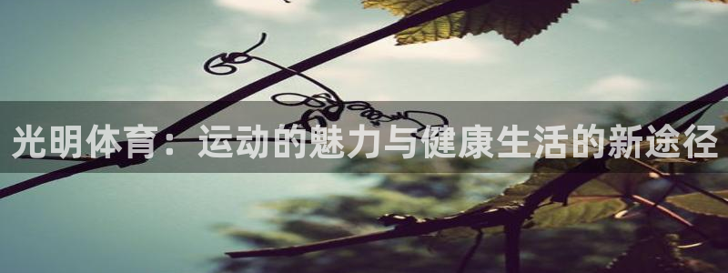 光明体育：运动的魅力与健康生活的新途径