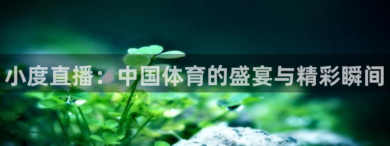 小度直播：中国体育的盛宴与精彩瞬间