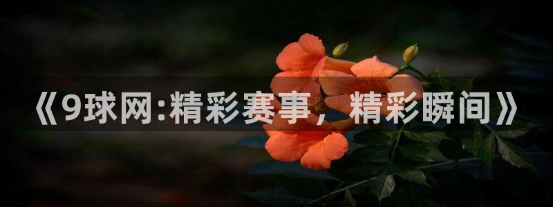 《9球网:精彩赛事，精彩瞬间》