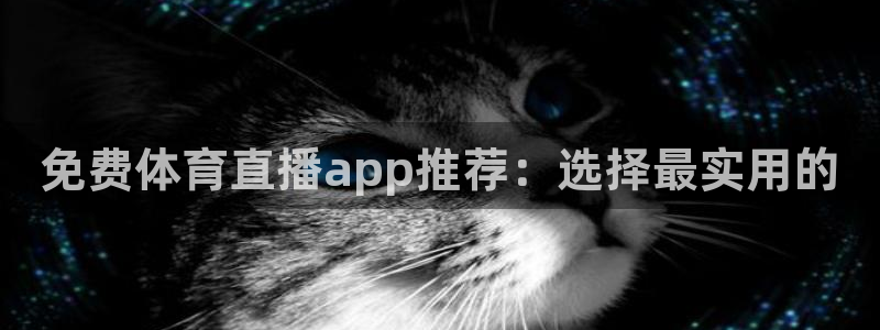 免费体育直播app推荐：选择最实用的