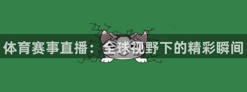 体育赛事直播：全球视野下的精彩瞬间