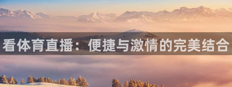 看体育直播：便捷与激情的完美结合
