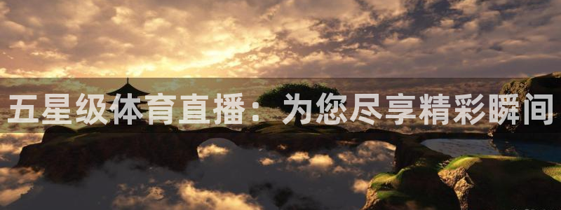 五星级体育直播：为您尽享精彩瞬间