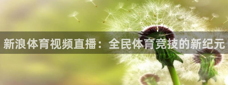 新浪体育视频直播：全民体育竞技的新纪元