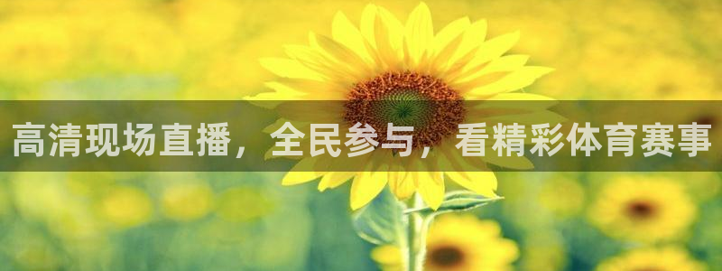 高清现场直播，全民参与，看精彩体育赛事