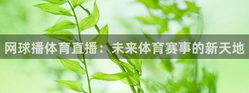 网球播体育直播：未来体育赛事的新天地