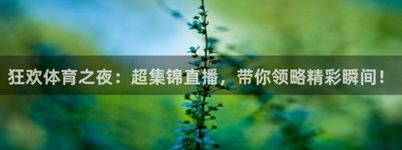 狂欢体育之夜：超集锦直播，带你领略精彩瞬间！
