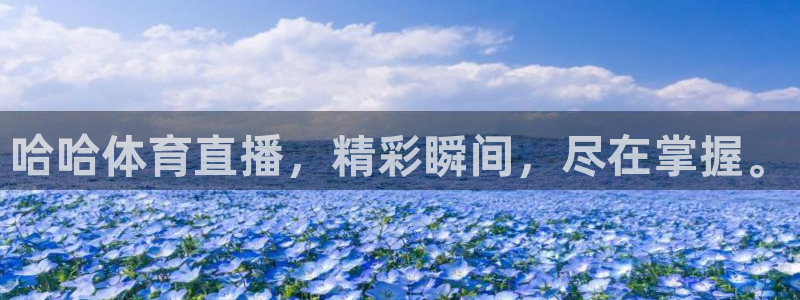 哈哈体育直播，精彩瞬间，尽在掌握。