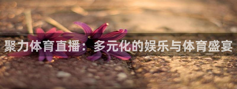 聚力体育直播：多元化的娱乐与体育盛宴