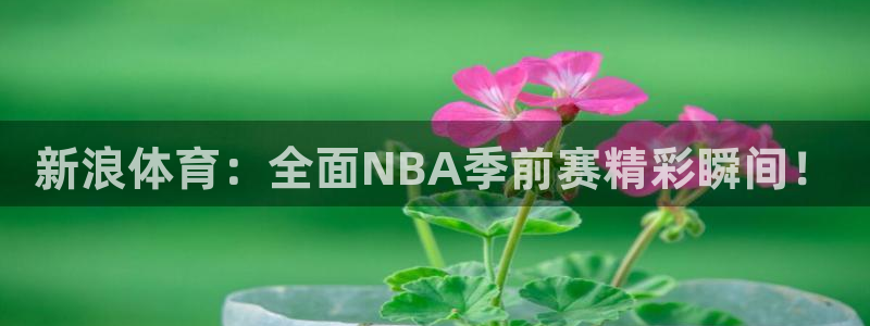 新浪体育：全面NBA季前赛精彩瞬间！