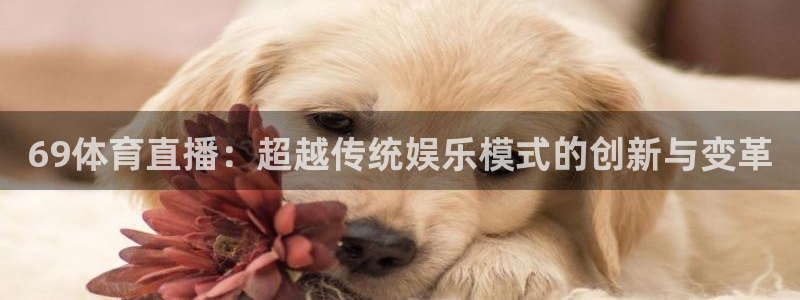 69体育直播：超越传统娱乐模式的创新与变革