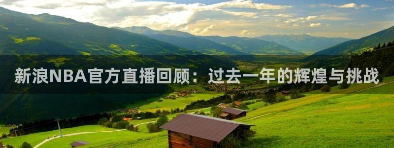 新浪NBA官方直播回顾：过去一年的辉煌与挑战